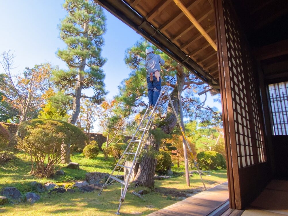 重要文化財：馬場家住宅の庭苑管理の様子