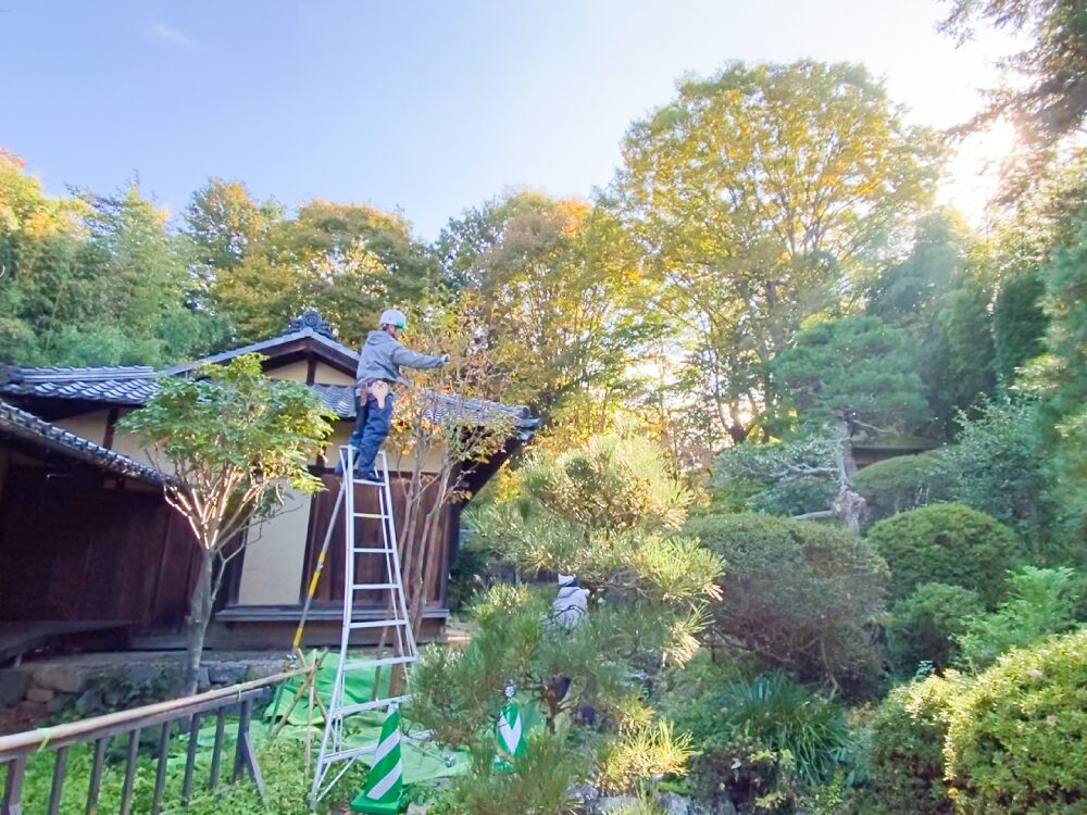 重要文化財：馬場家住宅の庭苑管理の様子