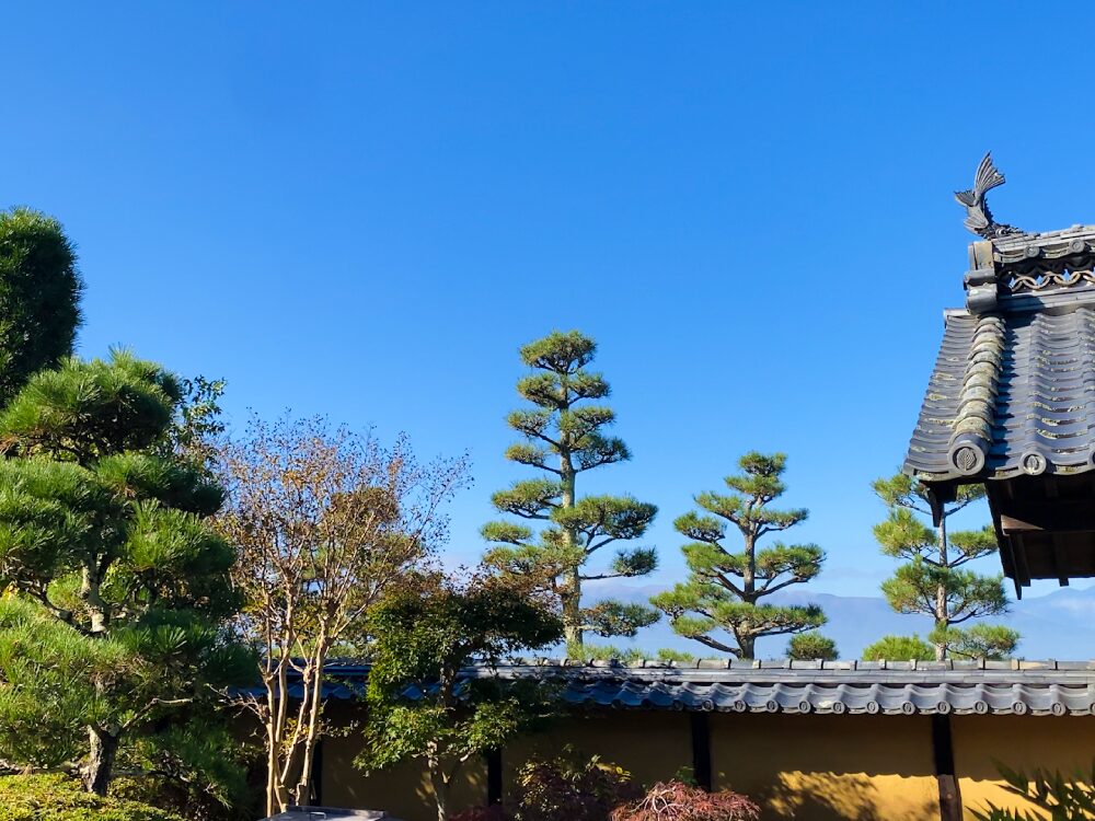 重要文化財：馬場家住宅の庭苑管理の様子