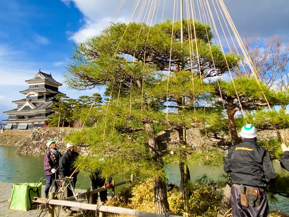 国宝：松本城の庭苑管理の様子