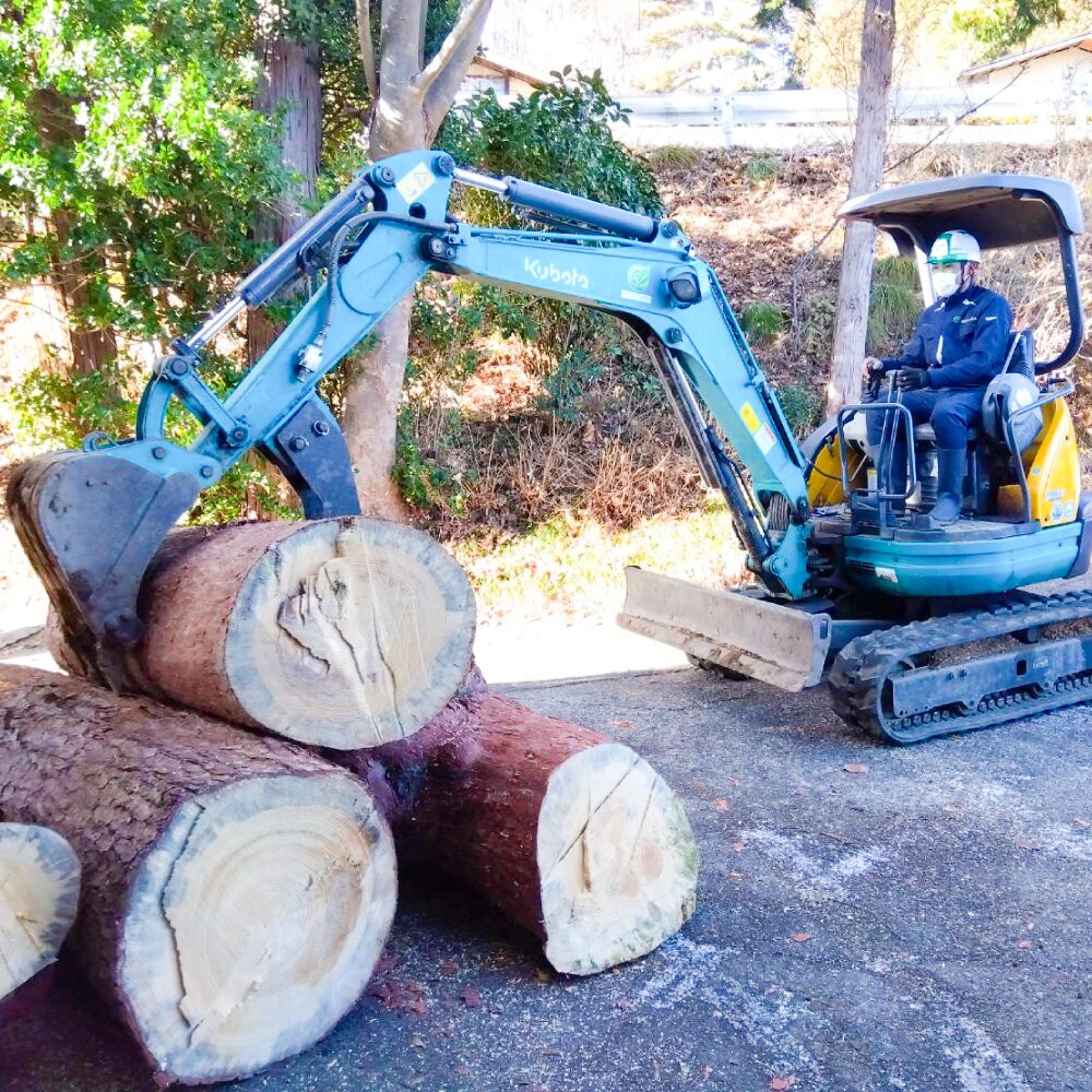 丸太を運んでいる様子