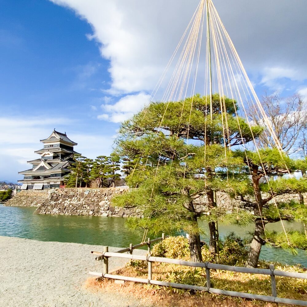 松本城の松の木の雪吊り完成