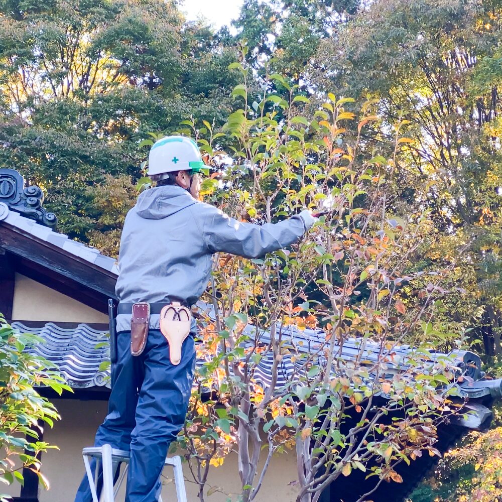 枝・葉を剪定している様子